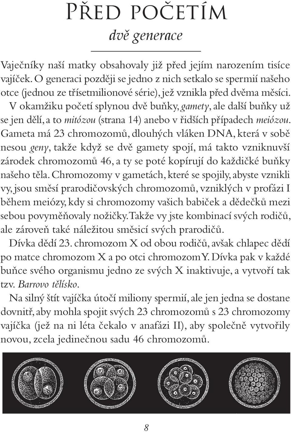 V okamžiku početí splynou dvě buňky, gamety, ale další buňky už se jen dělí, a to mitózou (strana 14) anebo v řidších případech meiózou.