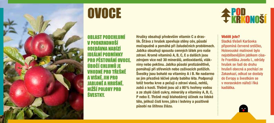 Kromě vitaminů A, B, C, E a dalších jsou zdrojem více než 30 minerálů, antioxidantů, vlákniny nebo pektinu. Jablka působí protizánětlivě, pomáhají při střevních nebo zažívacích potížích.