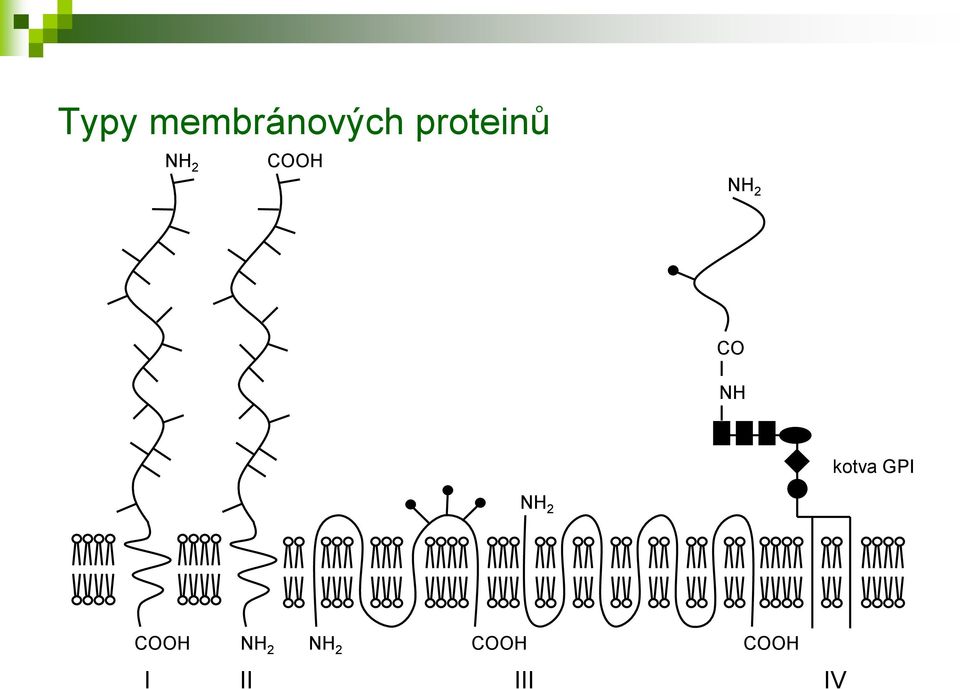CO NH kotva GPI NH 2