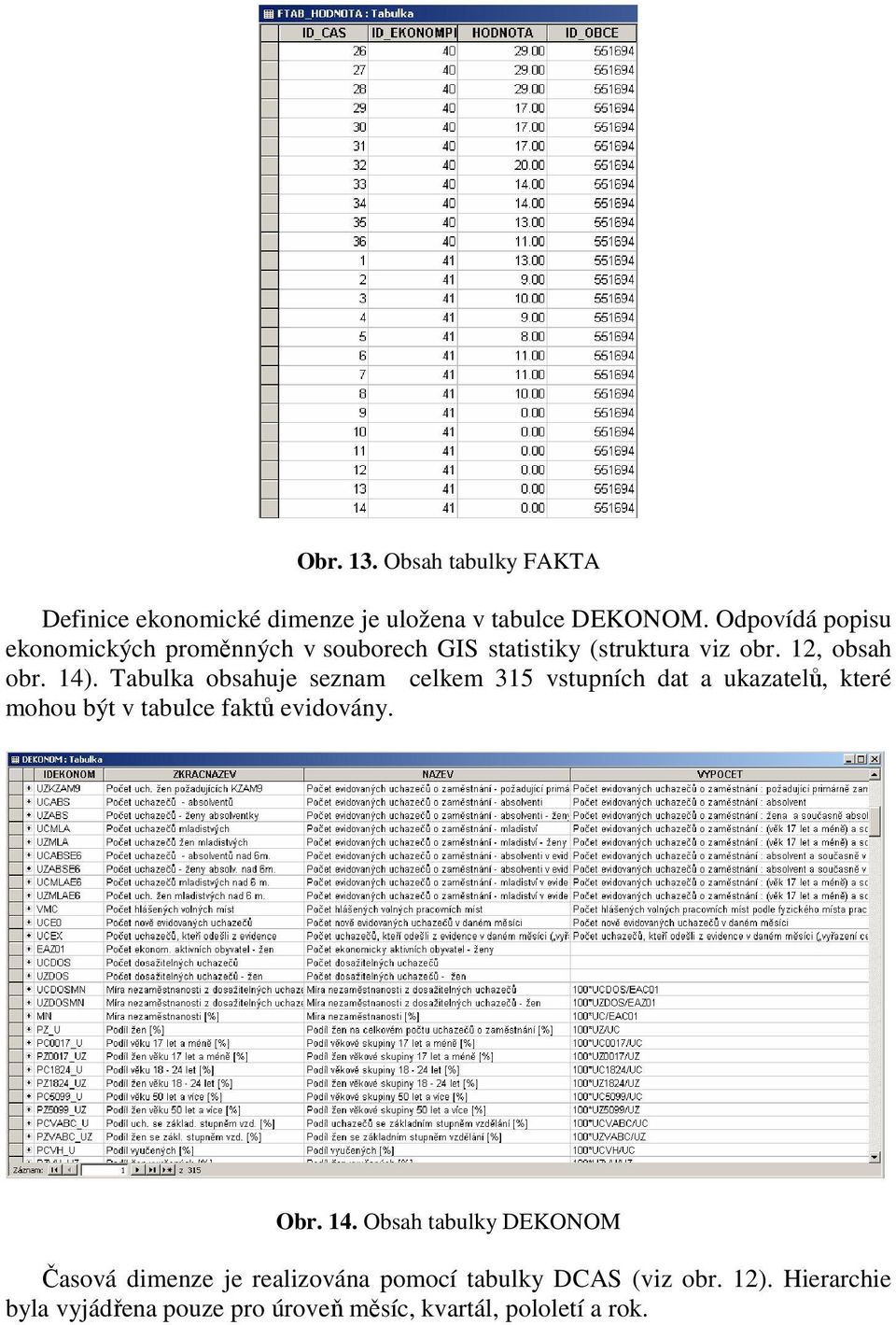 Tabulka obsahuje seznam celkem 315 vstupních dat a ukazatelů, které mohou být v tabulce faktů evidovány. Obr. 14.