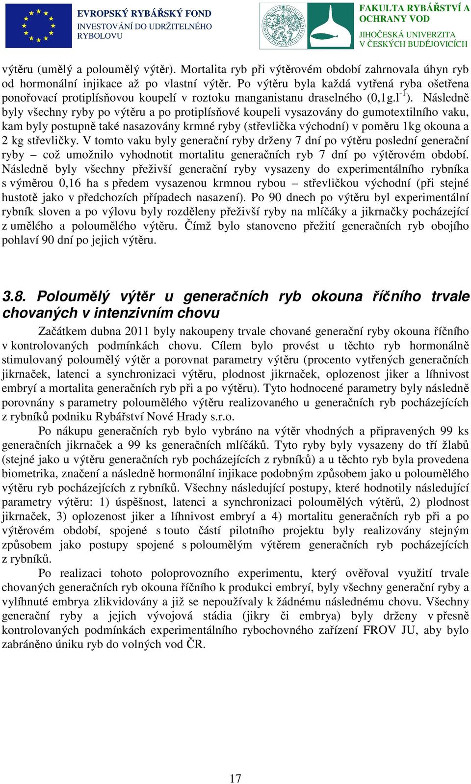 Následně byly všechny ryby po výtěru a po protiplísňové koupeli vysazovány do gumotextilního vaku, kam byly postupně také nasazovány krmné ryby (střevlička východní) v poměru 1kg okouna a 2 kg