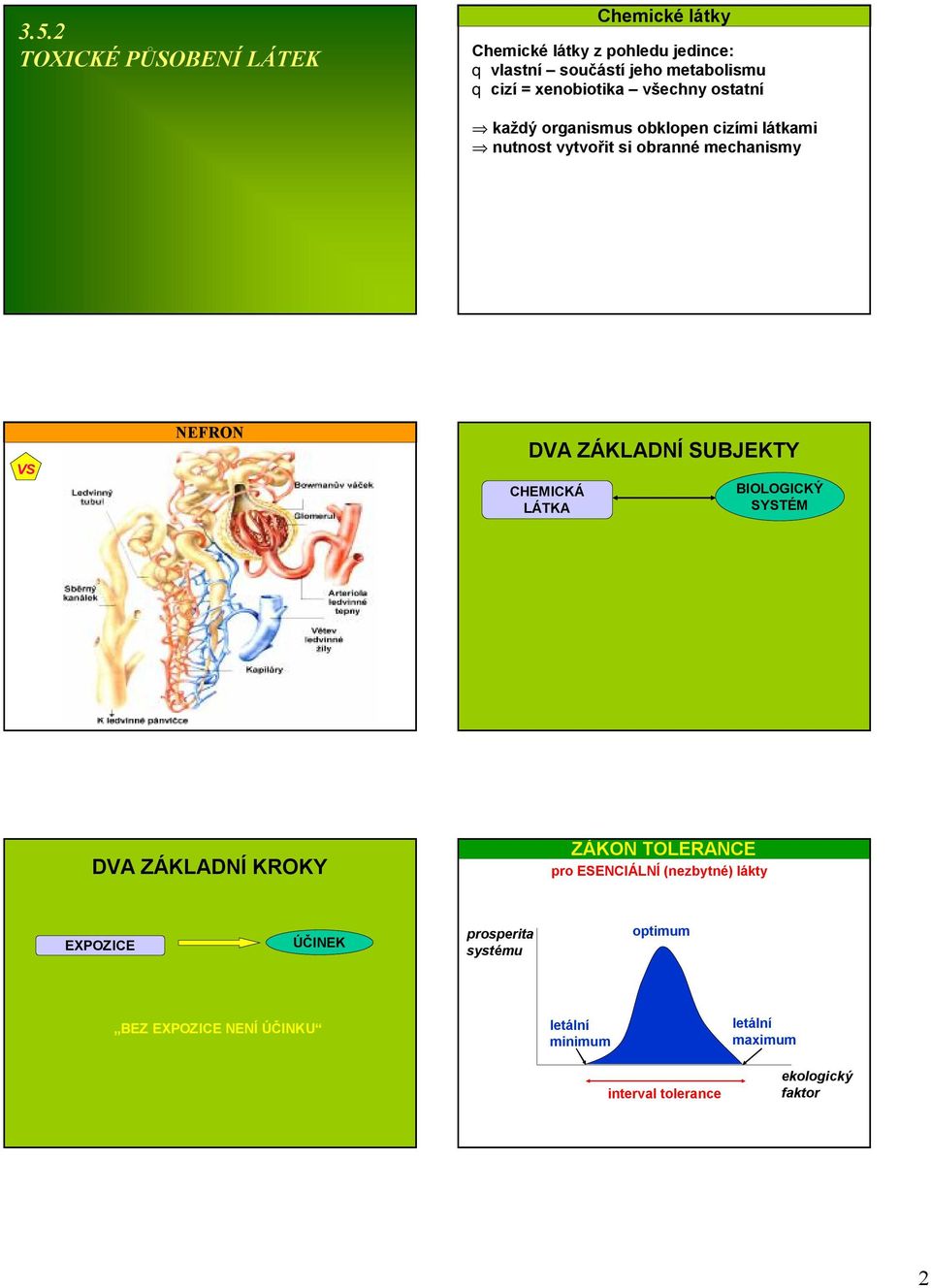 ZÁKLADNÍ SUBJEKTY CHEMICKÁ LÁTKA BIOLOGICKÝ SYSTÉM DVA ZÁKLADNÍ KROKY ZÁKON TOLERANCE pro ESENCIÁLNÍ (nezbytné) lákty