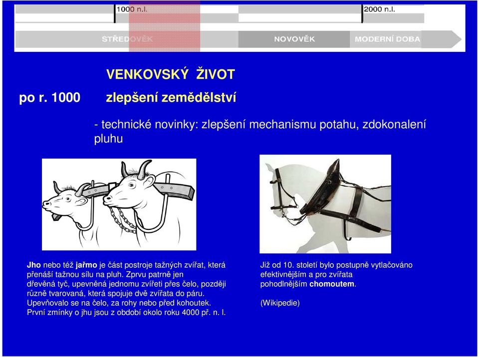 Zprvu patrně jen dřevěná tyč, upevněná jednomu zvířeti přes čelo, později různě tvarovaná, která spojuje dvě zvířata do páru.