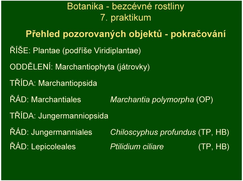 Viridiplantae) ODDĚLENÍ: Marchantiophyta (játrovky) TŘÍDA: Marchantiopsida ŘÁD: