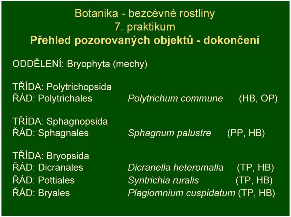 Polytrichopsida ŘÁD: Polytrichales Polytrichum commune (HB, OP) TŘÍDA: Sphagnopsida ŘÁD: Sphagnales