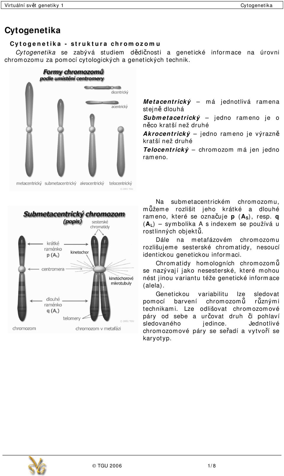 rameno. Na submetacentrickém chromozomu, můžeme rozlišit jeho krátké a dlouhé rameno, které se označuje p (A S ), resp. q (A L ) symbolika A s indexem se používá u rostlinných objektů.