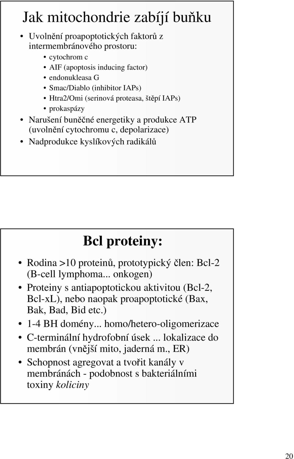 prototypický člen: Bcl-2 (B-cell lymphoma... onkogen) Proteiny s antiapoptotickou aktivitou (Bcl-2, Bcl-xL), nebo naopak proapoptotické (Bax, Bak, Bad, Bid etc.) 1-4 BH domény.