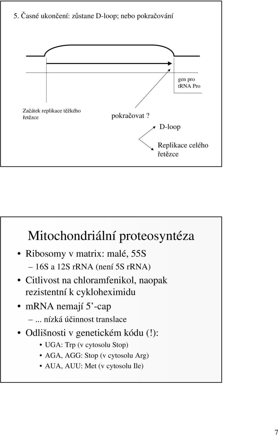 rrna) Citlivost na chloramfenikol, naopak rezistentní k cykloheximidu mrna nemají 5 -cap.