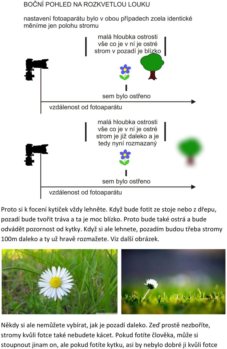 Když si ale lehnete, pozadím budou třeba stromy 100m daleko a ty už hravě rozmažete. Viz další obrázek.