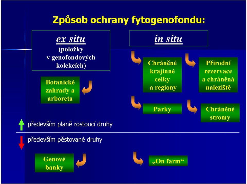 především pěstované druhy in situ Chráněné krajinné celky a regiony