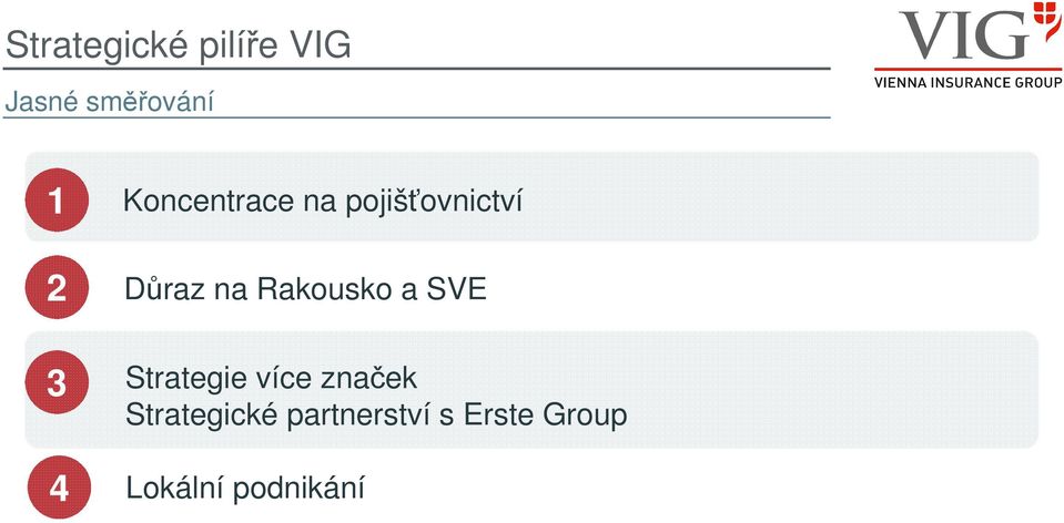 Rakousko a SVE Strategie více značek