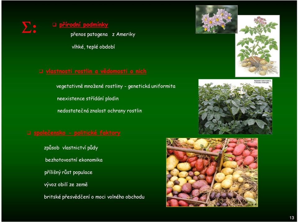 nedostatečná znalost ochrany rostlin společensko - politické faktory způsob vlastnictví půdy