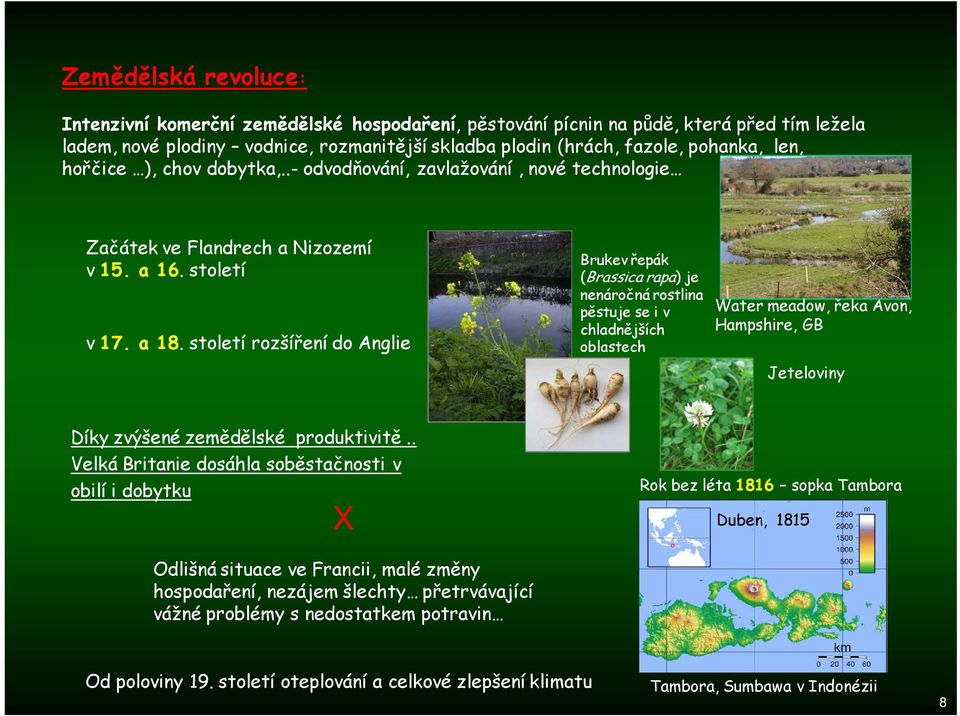 století rozšíření do Anglie Brukev řepák (Brassica rapa) je nenáročná rostlina pěstuje se i v chladnějších oblastech Water meadow, řeka Avon, Hampshire, GB Jeteloviny Díky zvýšené zemědělské