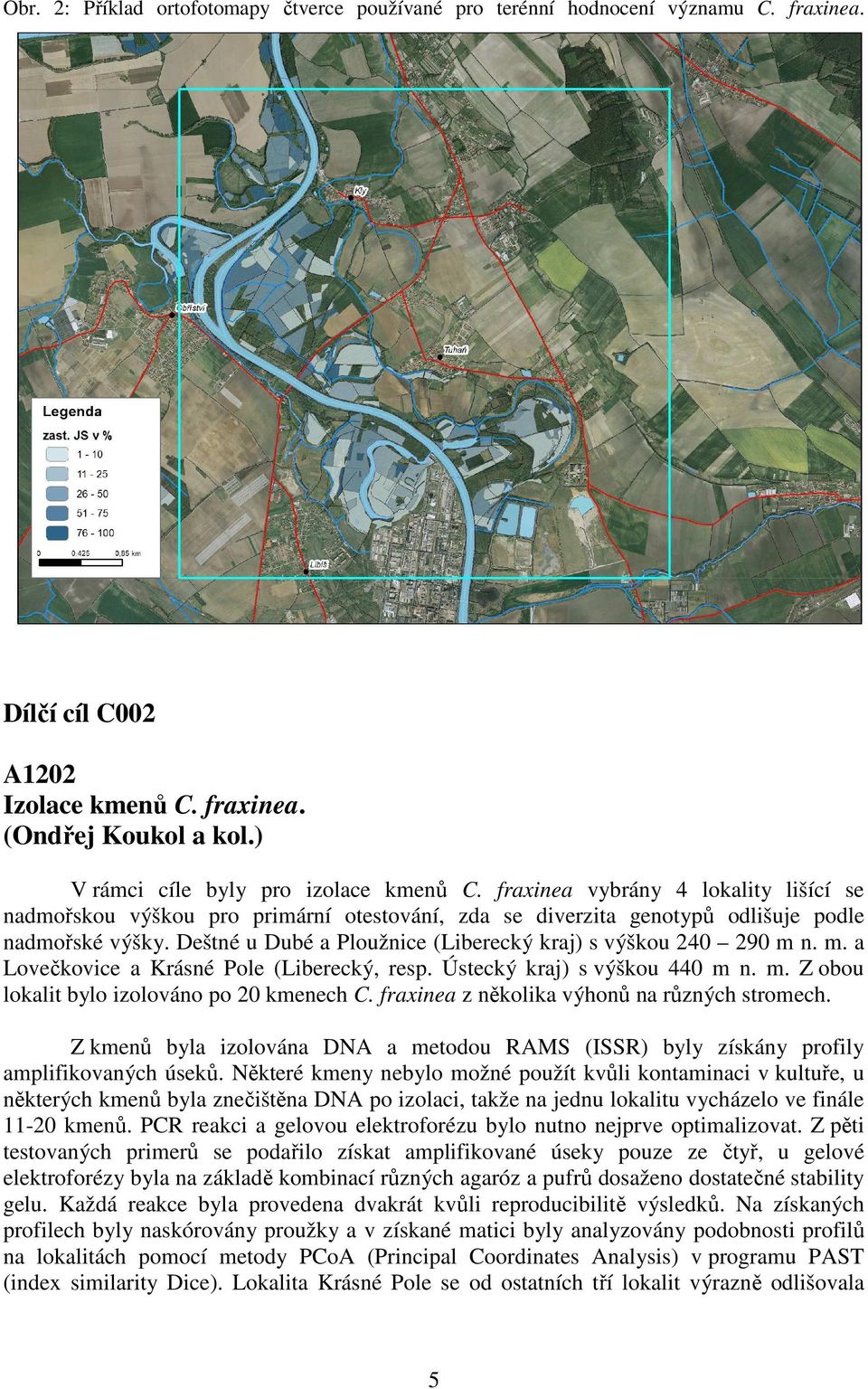 Deštné u Dubé a Ploužnice (Liberecký kraj) s výškou 240 290 m n. m. a Lovečkovice a Krásné Pole (Liberecký, resp. Ústecký kraj) s výškou 440 m n. m. Z obou lokalit bylo izolováno po 20 kmenech C.