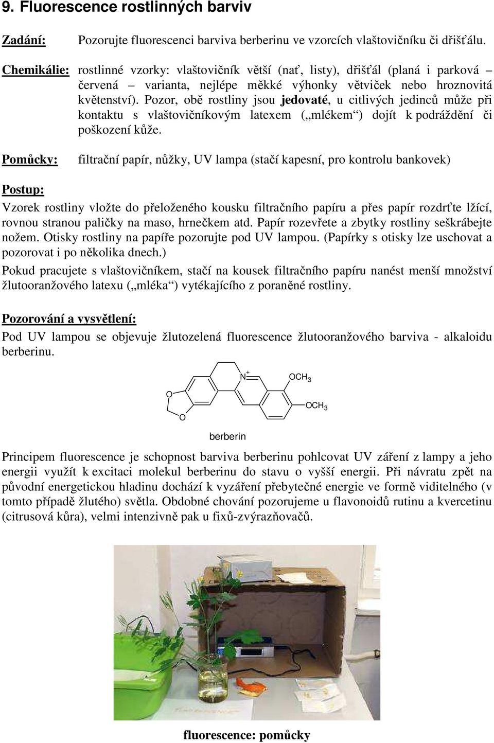 Pozor, obě rostliny jsou jedovaté, u citlivých jedinců může při kontaktu s vlaštovičníkovým latexem ( mlékem ) dojít k podráždění či poškození kůže.