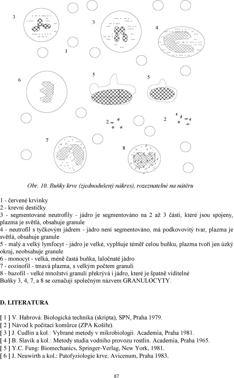 jádro je velké, vyplňuje téměř celou buňku, plazma tvoří jen úzký okraj, neobsahuje granule 6 - monocyt - velká, méně častá buňka, laločnaté jádro 7 - eozinofil - tmavá plazma, s velkým počtem