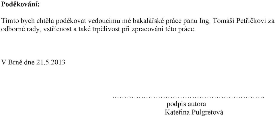 Tomáši Petříčkovi za odborné rady, vstřícnost a také