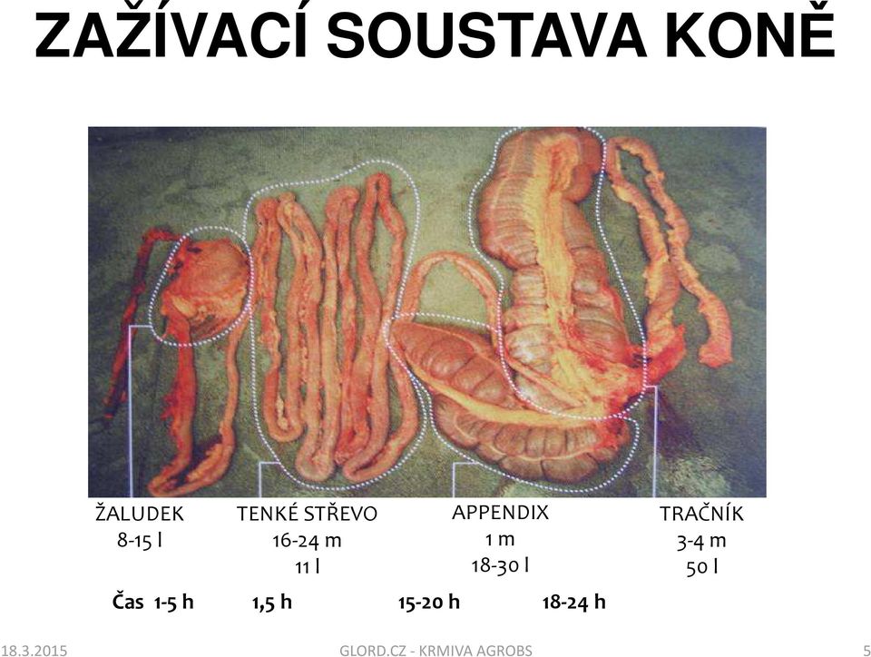 18-30 l Čas 1-5 h 1,5 h 15-20 h 18-24 h