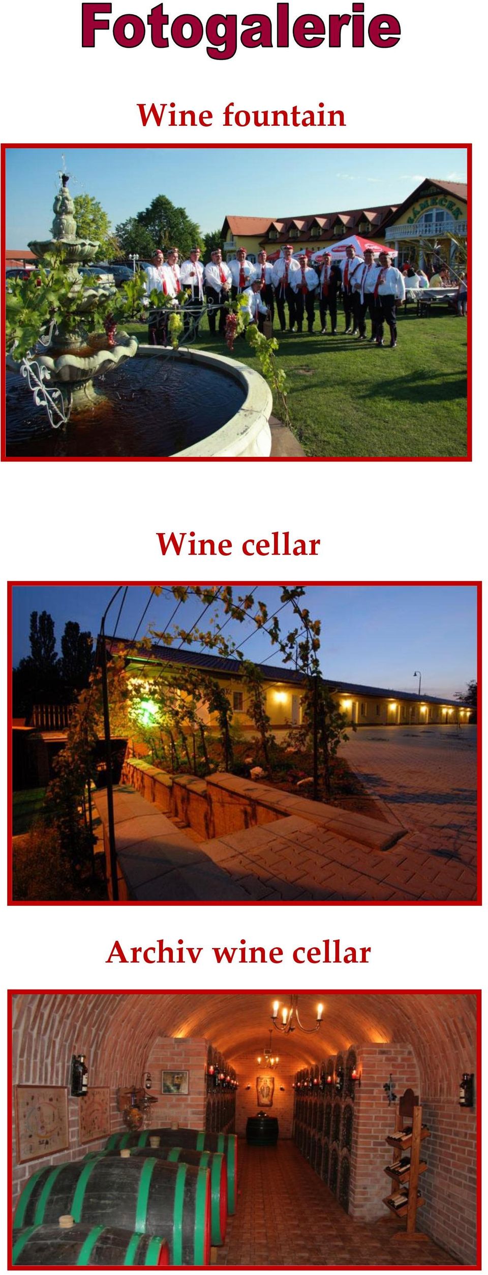 cellar