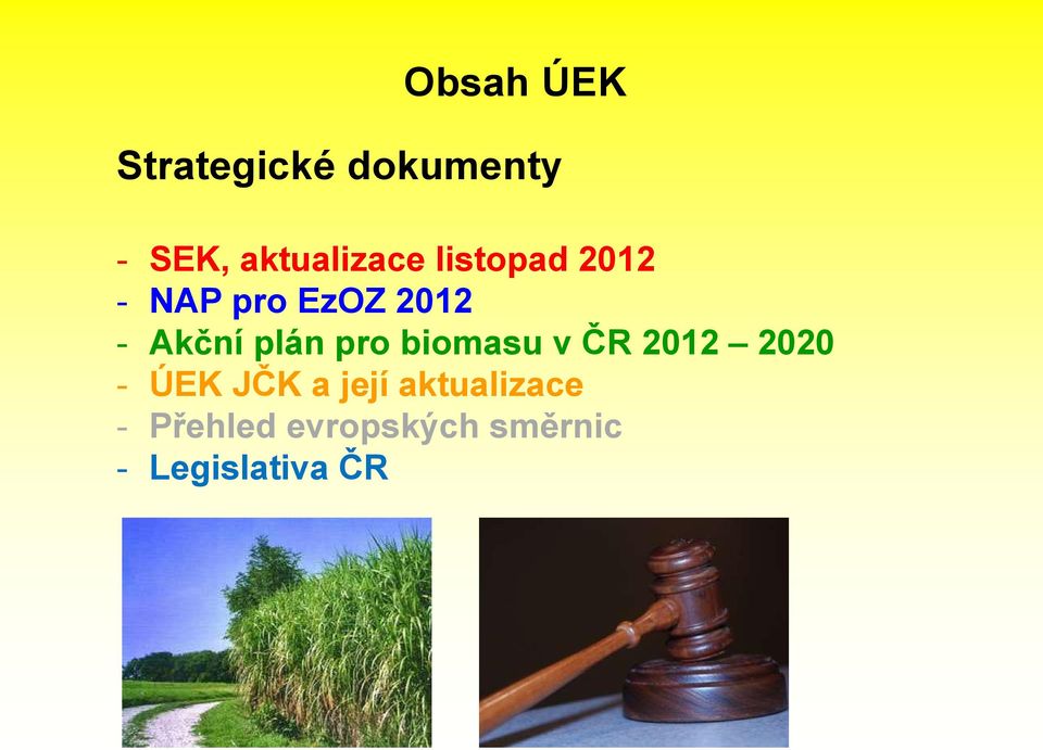 Akční plán pro biomasu v ČR 2012 2020 - ÚEK JČK a