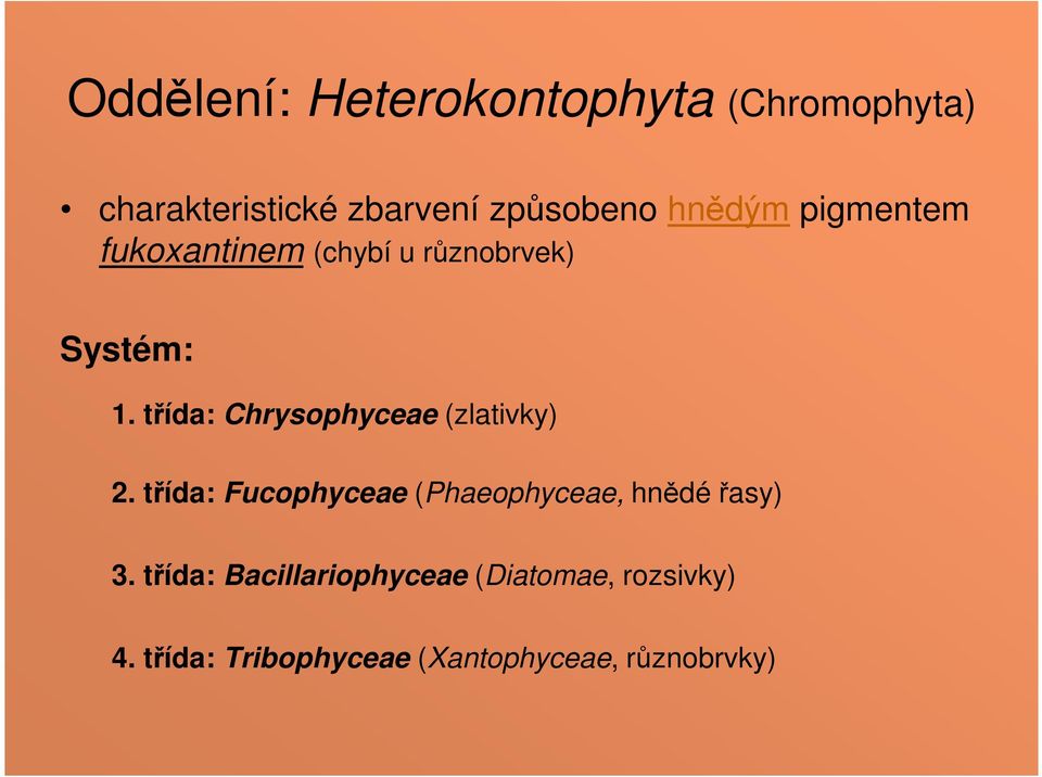 třída: Chrysophyceae (zlativky) 2.