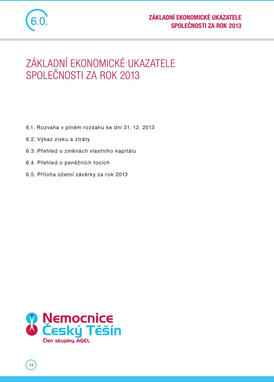 6.1. Rozvaha v plném rozsahu ke dni 31. 12. 2013 6.2. Výkaz zisku a ztráty 6.