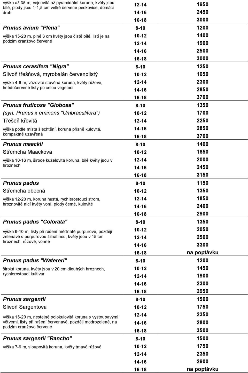květy růžové, hnědočervené listy po celou vegetaci 14-16 2850 16-18 3700 Prunus fruticosa "Globosa" 8-10 1350 (syn.