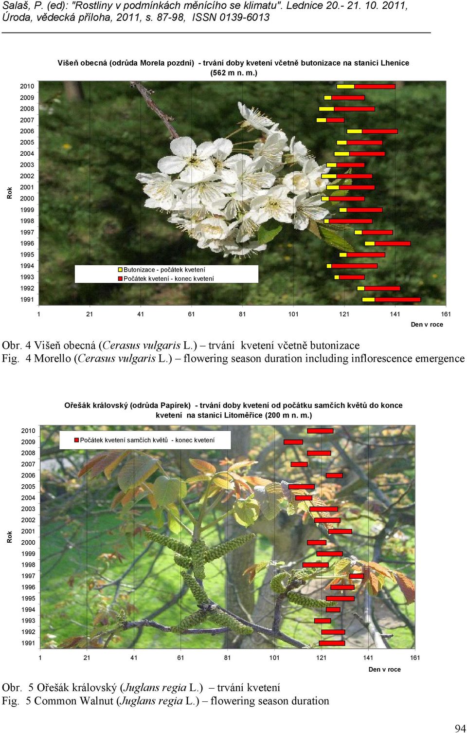 161 Den v roce Obr. 4 Višeň obecná (Cerasus vulgaris L.) trvání kvetení včetně butonizace Fig. 4 Morello (Cerasus vulgaris L.