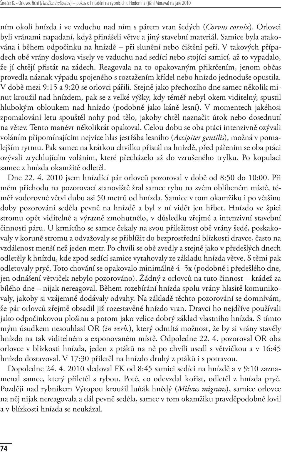 V takových případech obě vrány doslova visely ve vzduchu nad sedící nebo stojící samicí, až to vypadalo, že jí chtějí přistát na zádech.