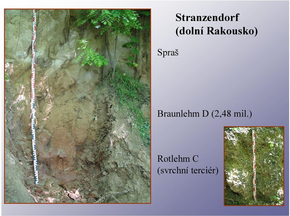 Braunlehm D (2,48 mil.