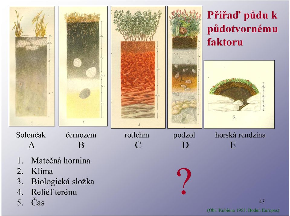 Klima 3. Biologická složka 4. Reliéf terénu 5. Čas?