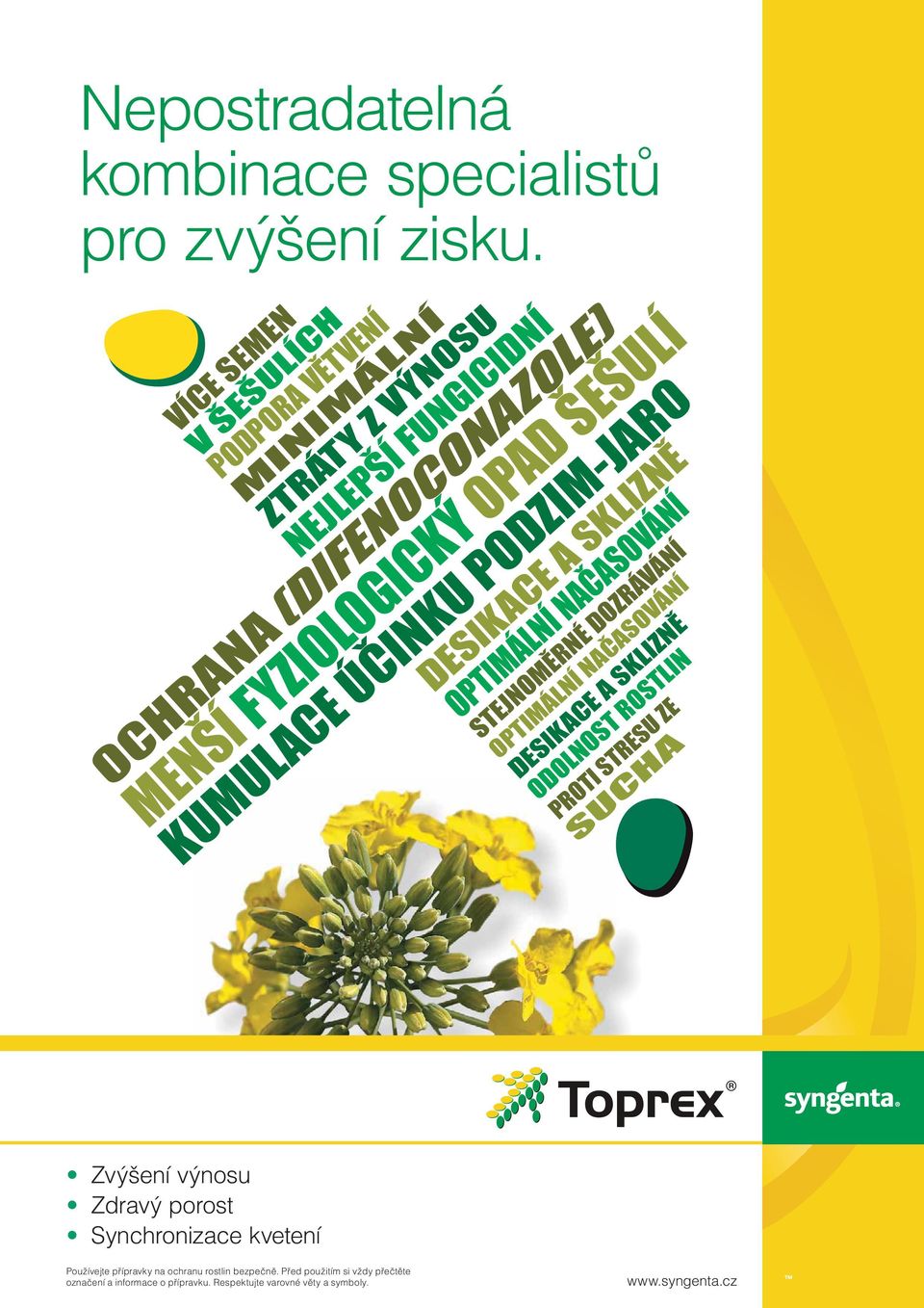 STEJNOMĚRNÉ DOZRÁVÁNÍ OPTIMÁLNÍ NAČASOVÁNÍ DESIKACE A SKLIZNĚ ODOLNOST ROSTLIN MENŠÍ FYZIOLOGICKÝ OPAD ŠEŠULÍ PROTI STRESU ZE SUCHA KUMULACE ÚČINKU