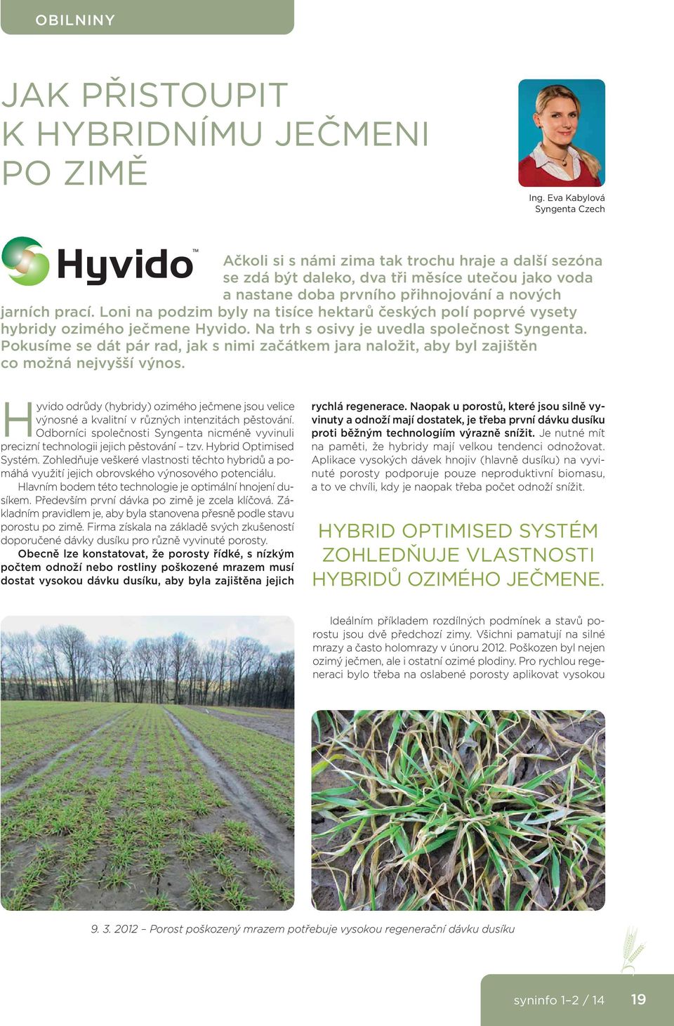 Loni na podzim byly na tisíce hektarů českých polí poprvé vysety hybridy ozimého ječmene Hyvido. Na trh s osivy je uvedla společnost Syngenta.