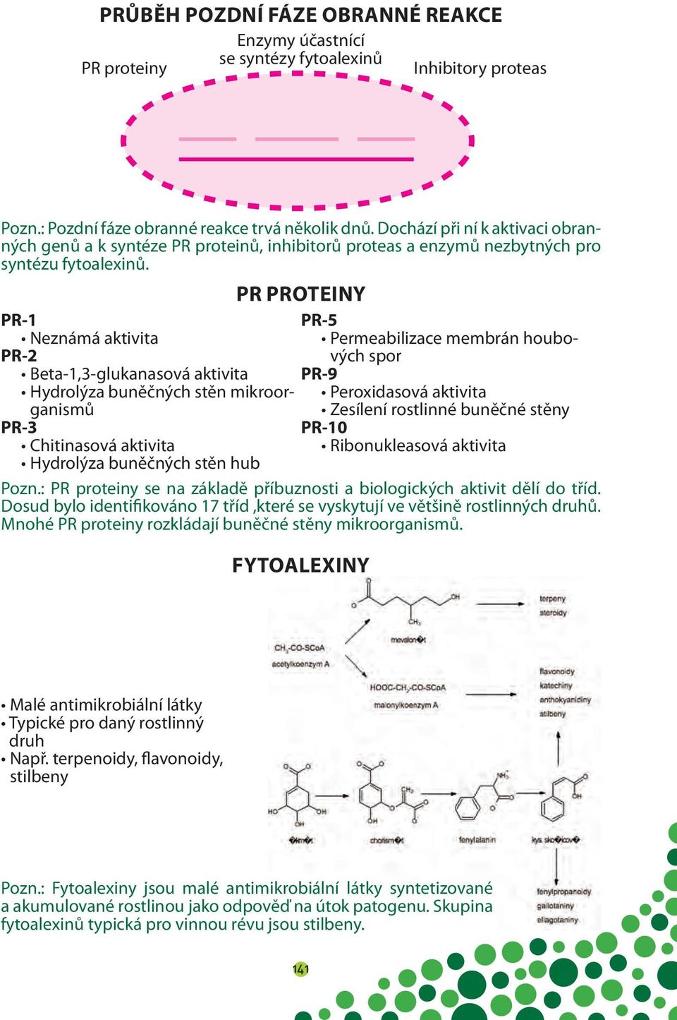 PR PROTEINY PR-1 PR-5 Neznámá aktivita Permeabilizace membrán houbových spor PR-2 Beta-1,3-glukanasová aktivita PR-9 Hydrolýza buněčných stěn mikroorganismů Zesílení rostlinné buněčné stěny