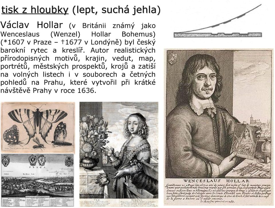 Autor realistických přírodopisných motivů, krajin, vedut, map, portrétů, městských prospektů, krojů