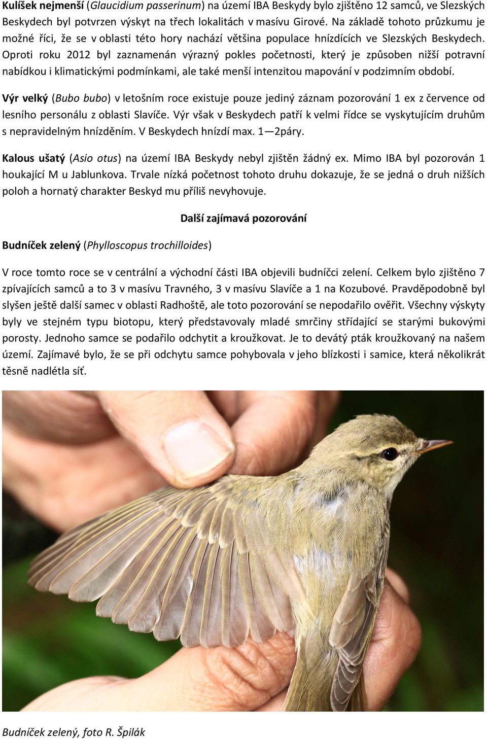 Oproti roku 2012 byl zaznamenán výrazný pokles početnosti, který je způsoben nižší potravní nabídkou i klimatickými podmínkami, ale také menší intenzitou mapování v podzimním období.