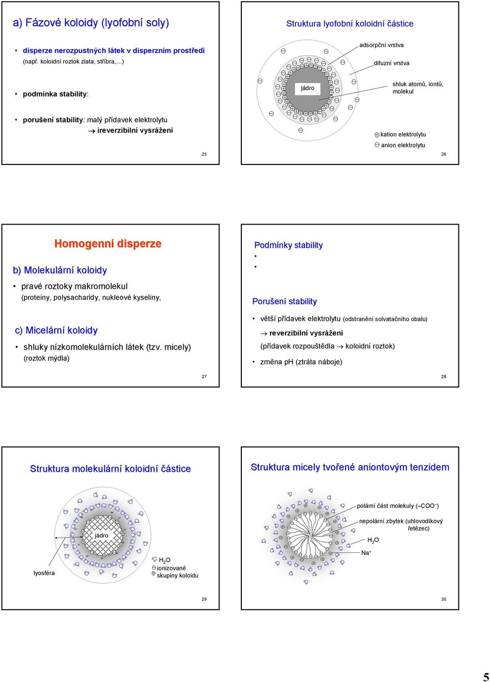 elektrolytu anion elektrolytu 5 6 Hoogenní disperze b) Molekulárn rní koloidy pravé roztoky akroolekul (proteiny, polysacharidy, nukleové kyseliny, c) Micelárn rní koloidy shluky nízkoolekulárních