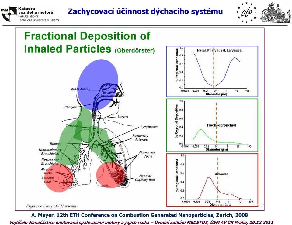 Mayer, 12th ETH Conference on