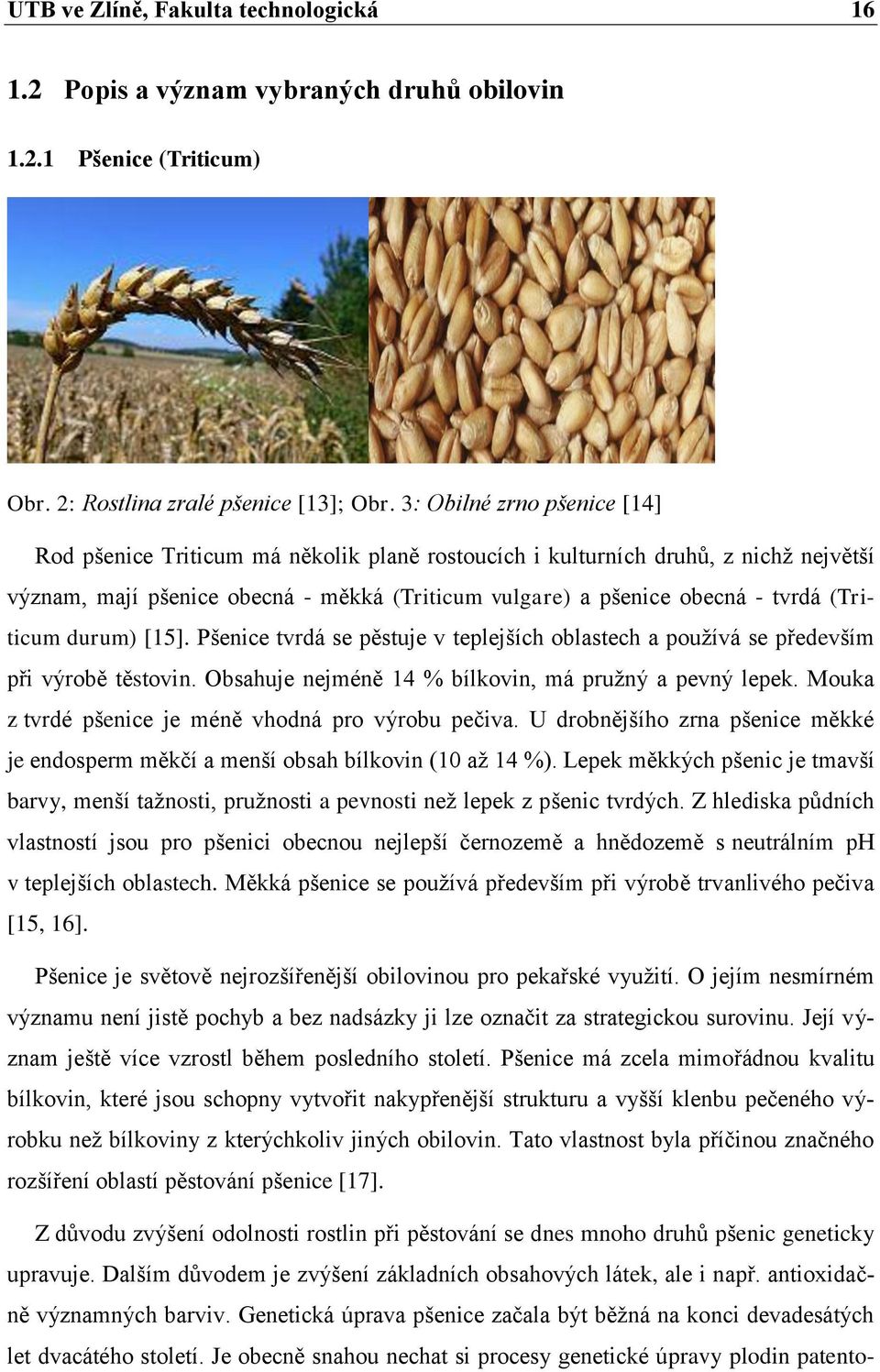 (Triticum durum) [15]. Pšenice tvrdá se pěstuje v teplejších oblastech a používá se především při výrobě těstovin. Obsahuje nejméně 14 % bílkovin, má pružný a pevný lepek.