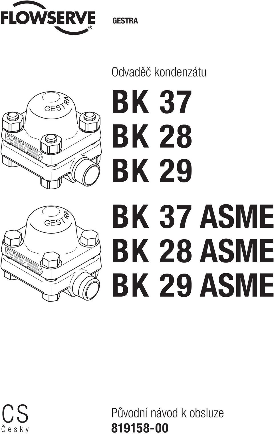 ASME BK 29 ASME CS Č e s k y