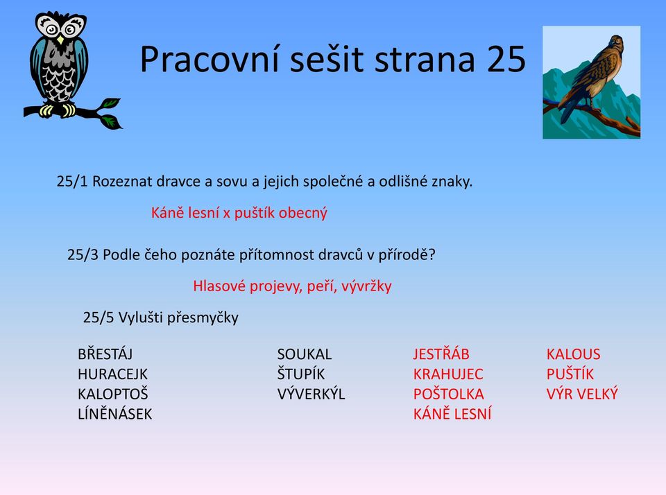 Hlasové projevy, peří, vývržky 25/5 Vylušti přesmyčky BŘESTÁJ HURACEJK KALOPTOŠ