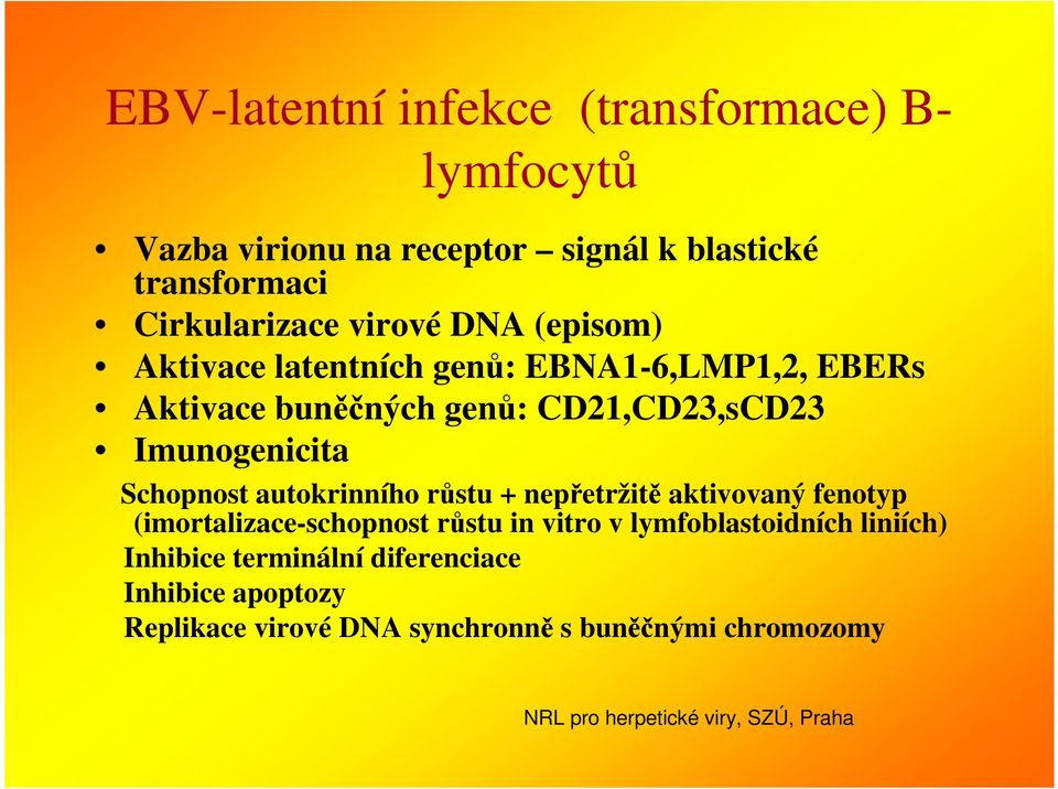 CD21,CD23,sCD23 Imunogenicita Schopnost autokrinního růstu + nepřetržitě aktivovaný fenotyp (imortalizace-schopnost