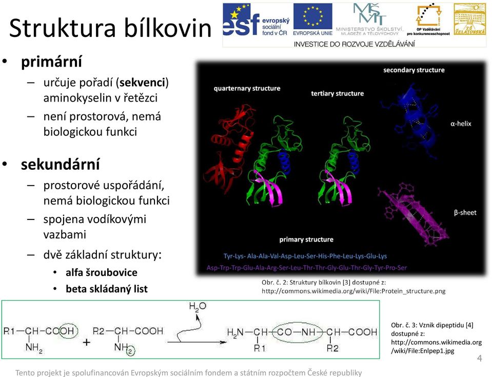 alfa šroubovice beta skládaný list Obr. č. 2: Struktury bílkovin [3] dostupné z: http://commons.wikimedia.