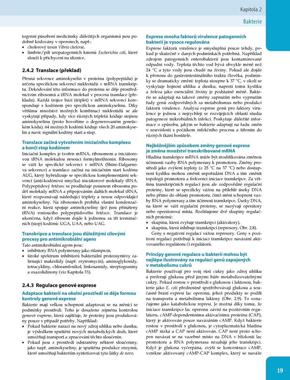 2 Translace (překlad) Přesná sekvence aminokyselin v proteinu (polypeptidu) je určena specifickou sekvencí nukleotidů v transkriptu.