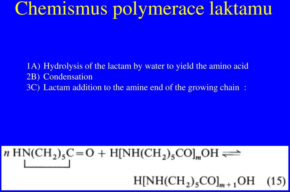 yield the amino acid 2B) Condensation 3C)