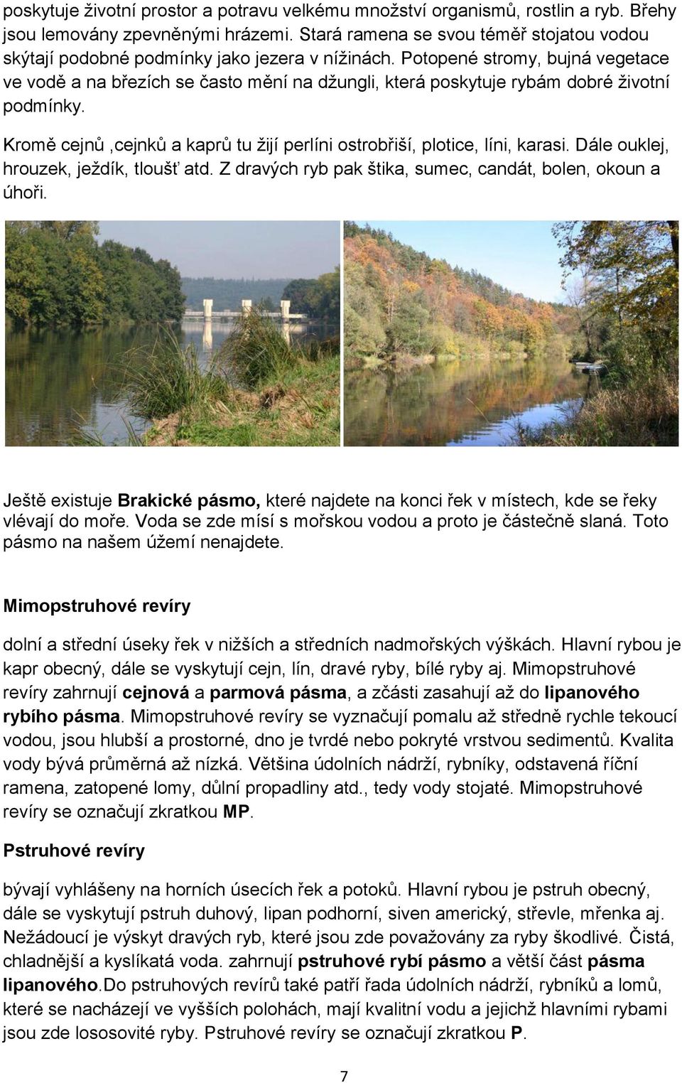 Potopené stromy, bujná vegetace ve vodě a na březích se často mění na džungli, která poskytuje rybám dobré životní podmínky.