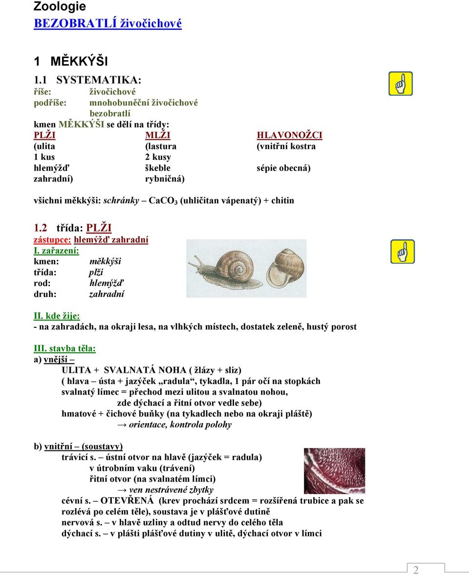 obecná) zahradní) rybničná) všichni měkkýši: schránky CaCO 3 (uhličitan vápenatý) + chitin 1.2 třída: PLŽI zástupce: hlemýžď zahradní I.