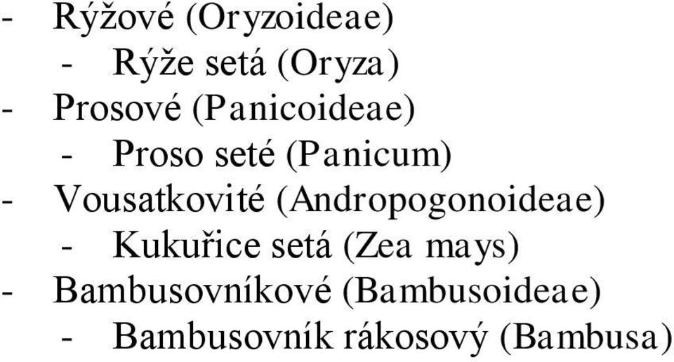 (Andropogonoideae) - Kukuřice setá (Zea mays) -