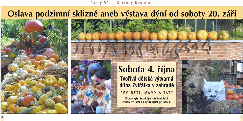 fiíjna Tvořivá dětská výtvarná dílna Zvířátka v zahradě PRO DĚTI,