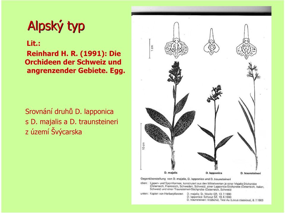 (1991): Die Orchideen der Schweiz und